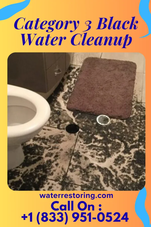 Category 3 Black Water Cleanup in Bray, OK